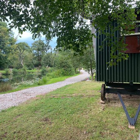 The Shepherd'S Hut - Wild Escapes Wrenbury Off Grid Glamping - Ages 12 And Over Baddiley Exterior foto