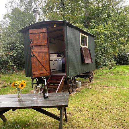 The Shepherd'S Hut - Wild Escapes Wrenbury Off Grid Glamping - Ages 12 And Over Baddiley Exterior foto